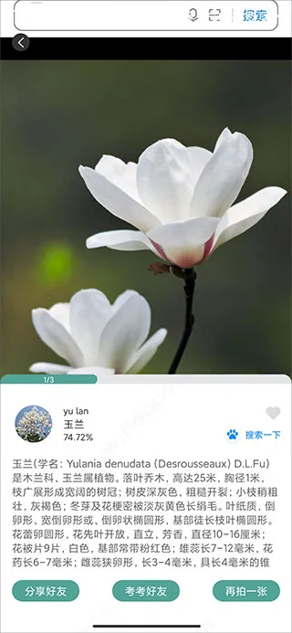 ʶ(ʶ𹤾)