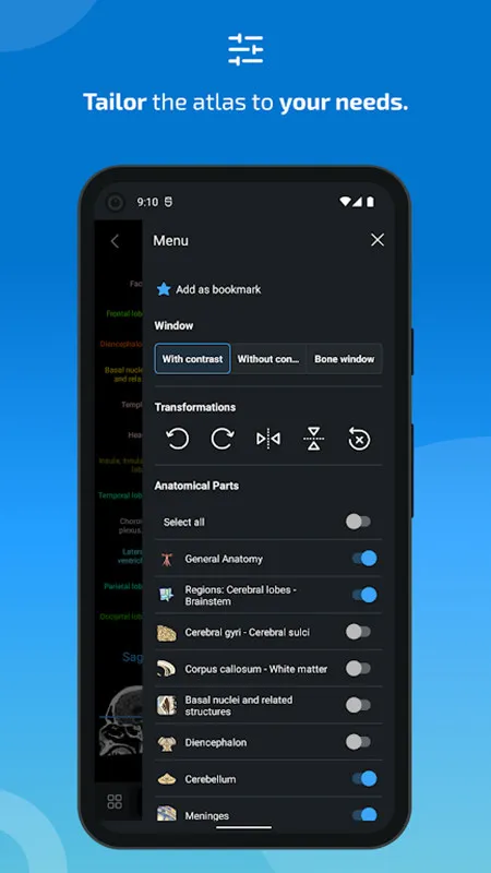 e-Anatomy2025v4.2 ٷ