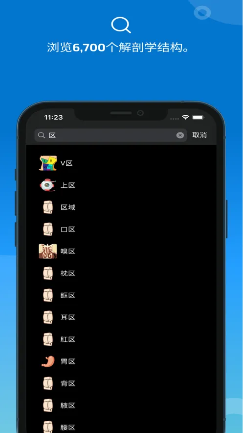 e-Anatomy2025v4.2 ٷ