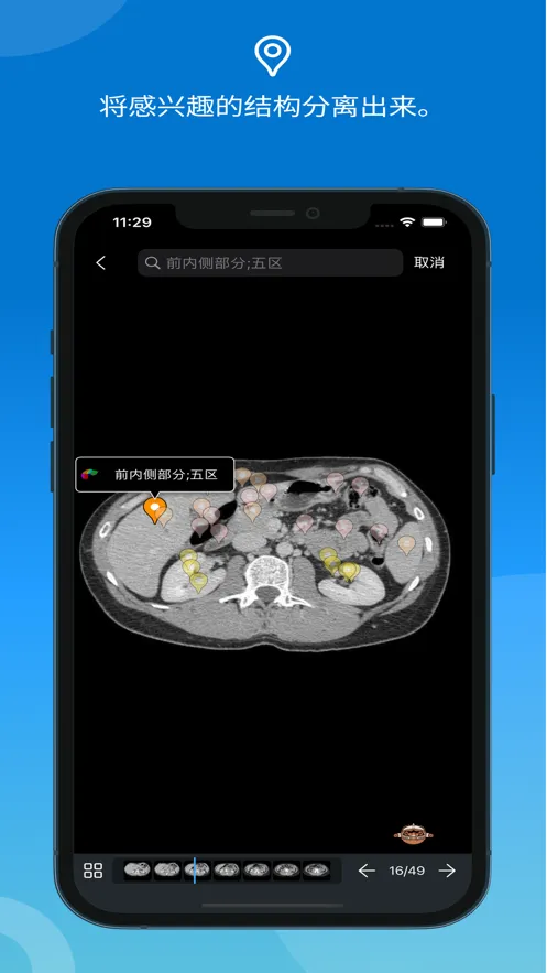 e-Anatomy2025v4.2 ٷ