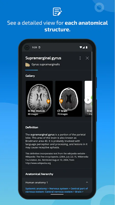 e-Anatomy2025v4.2 ٷ