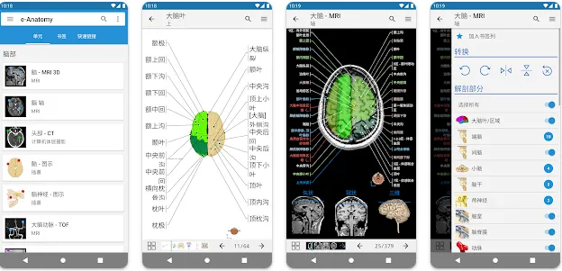 e-Anatomy2025