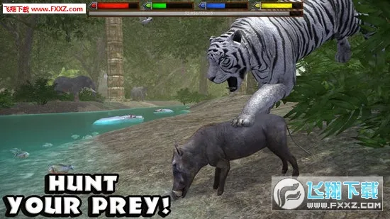 JungleSim2025ٷv1.1 ׿