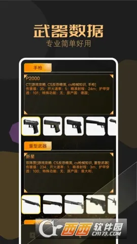 csgo(Ϸ)