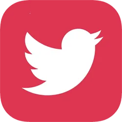 喜鹊视频2025下载v2.1.11 免费版