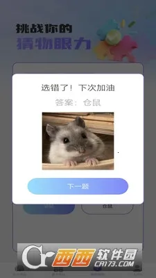 梦想脑力王(梦想脑力王(儿童脑力训练))