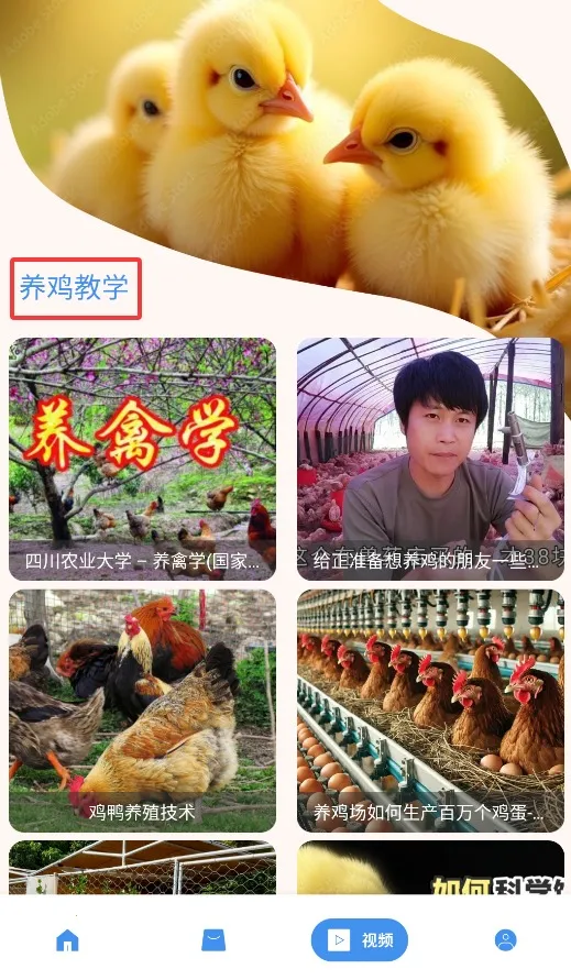 养鸡宝(养鸡指导工具)