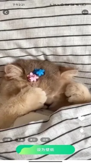 ѡȤֽ׿ֻv1.5.2.2 ֻ