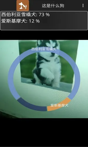 Identify Dog Breeds(ʶ)v1.0 Ѱ