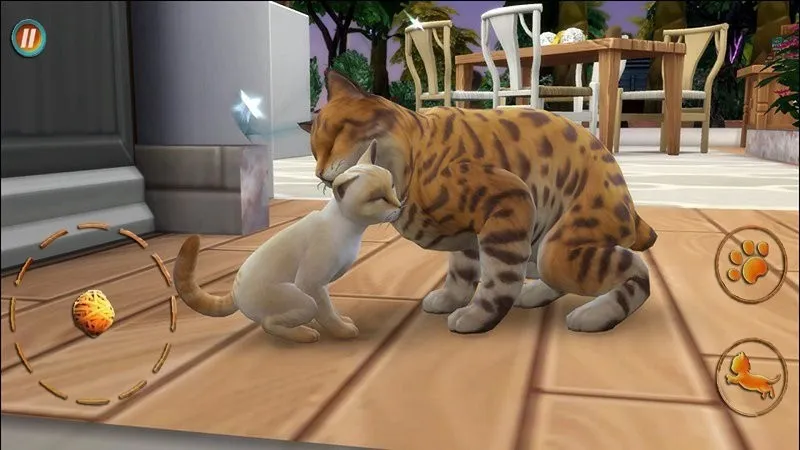 è2025ٷv300.1.0.3018 ׿