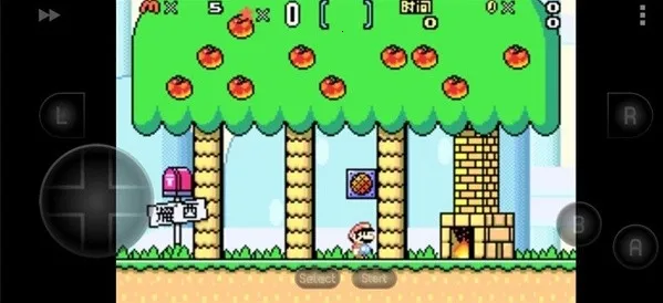 A22025ذװv2021.02.22.11 ֻ