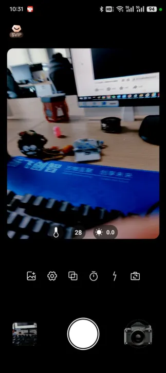 dazzchic2025v1.0.3 Ѱ