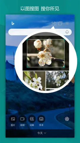 BING΢Ӧ()v31.4.2110003555 Ѱ