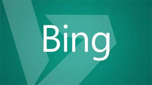 BING΢Ӧ()
