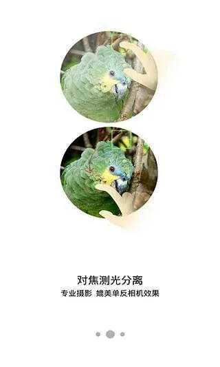 Ŭ2025°汾V1.0.36 ֻ