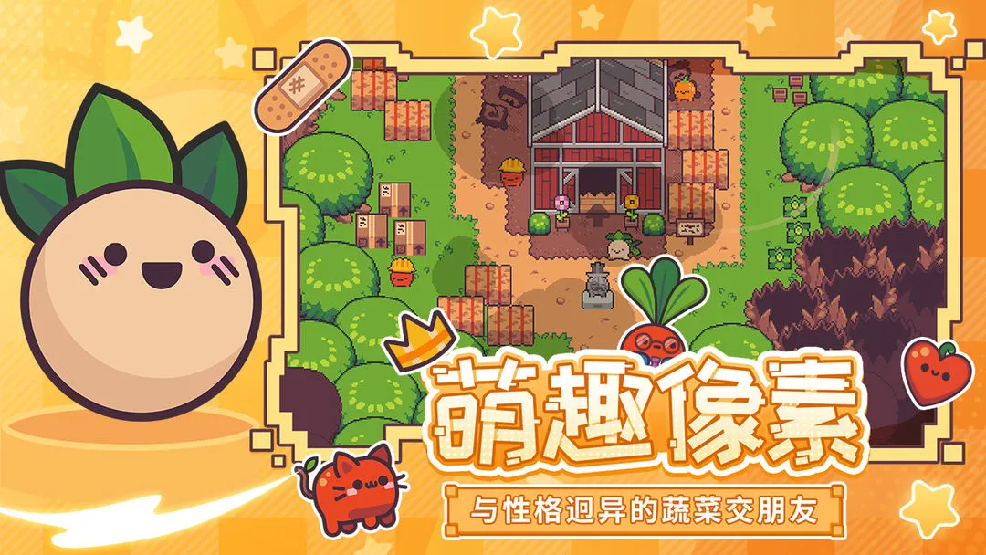 ͷ˲ռ2025ٷ°汾v1.2.0 ׿