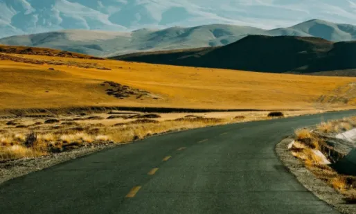 打谷剧场2025下载 打谷剧场2025下载