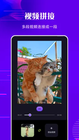 Ƶٷ2025°汾v3.95.19 Ѱ