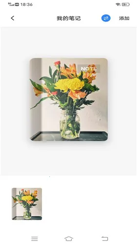 Ϊ֪ʼǱ2025°汾v0.0.22 ֻ