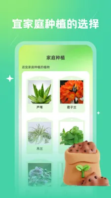 ׯ԰(ֲ׬Ϸ)v1.0.0 ׿