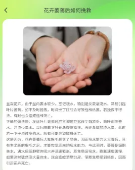 花田庄园(种植赚红包游戏) 花田庄园(种植赚红包游戏)