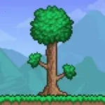 ֶ̩ģ2025°汾v1.4.1.5.1 ٷ