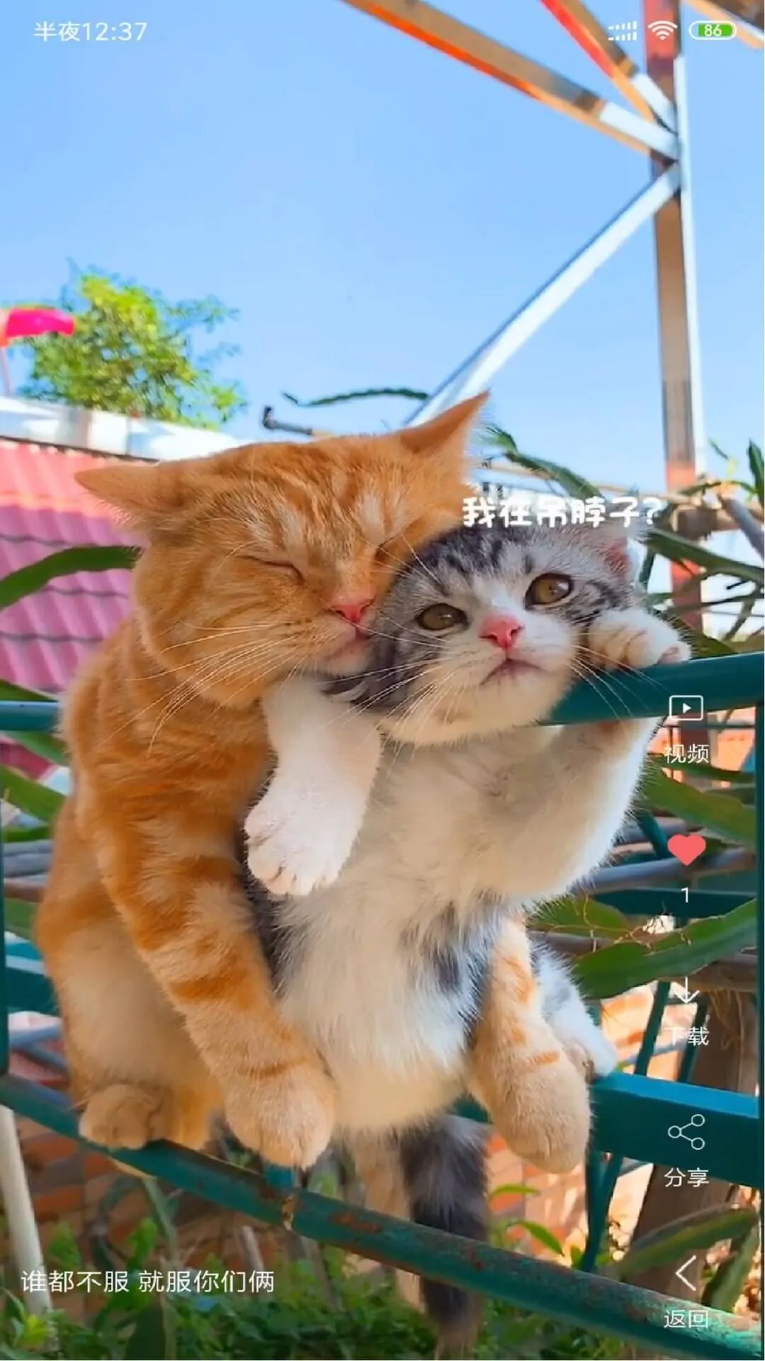 Ƶֽ2025ذװv4.1.4 Ѱ