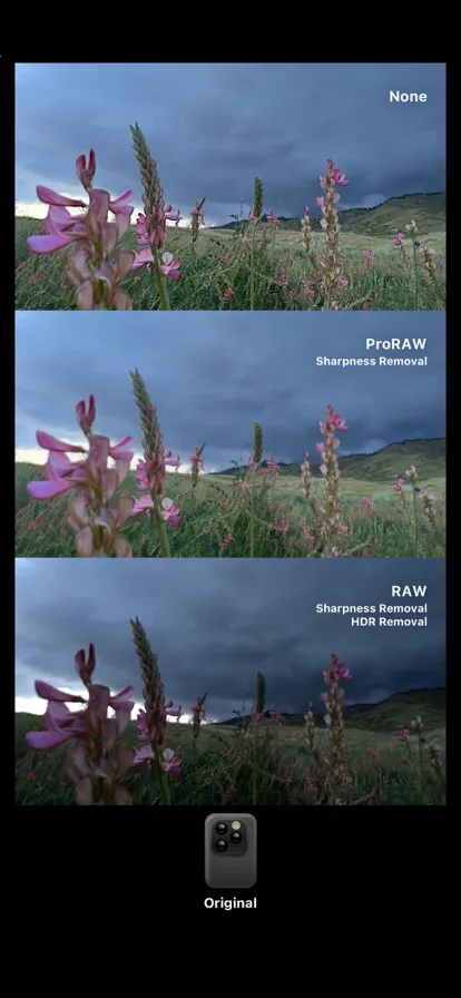 dazz��Ƭ���(��Ƭ��������)v3.1.8 �ֻ���