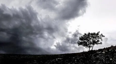 ��������(������ѯ����)