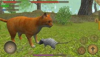 老鼠生存模拟器(老鼠模拟生存游戏)