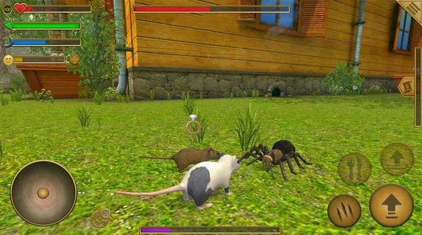 老鼠生存模拟器(老鼠模拟生存游戏)