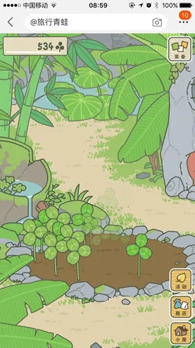 ��������(����������Ϸ)