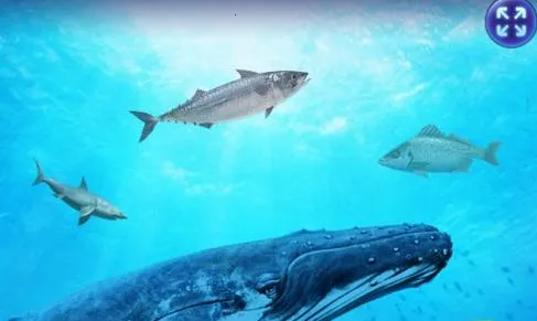 ȫ�����2(����ģ����Ϸ)