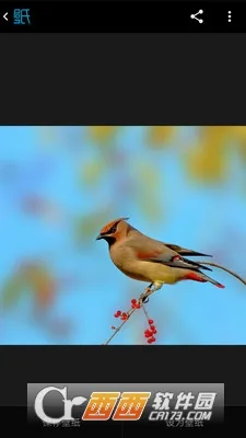 �ö��ֽ(��ֽ��Դƽ̨)v5.4.5 ��Ѱ�