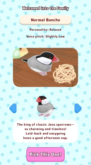 ��������2025�ٷ�����v1.1 ��׿��