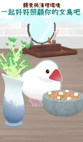 ��������2025�ٷ�����v1.1 ��׿��