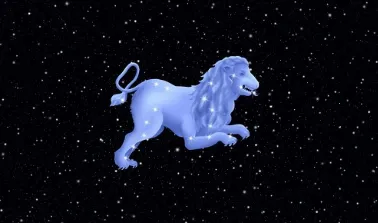 �����ǰ�׿���ֻ���