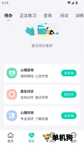 ����ʵ����(������ѯƽ̨)