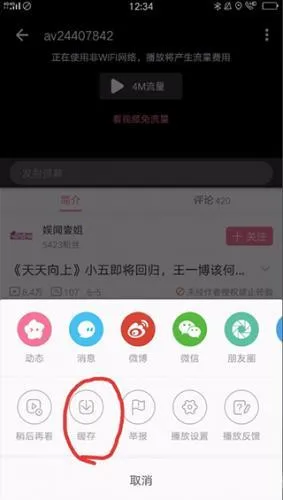 ��������2026���°汾