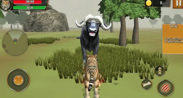 ��Ұð�ռ�2026�ٷ�����