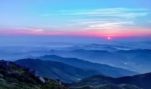 ��������2026�ٷ�����