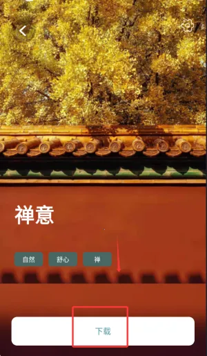 ����˯��