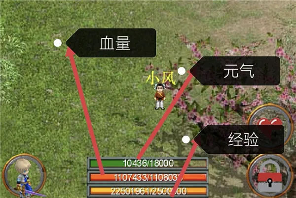 �ڴ�����2026�ٷ�����