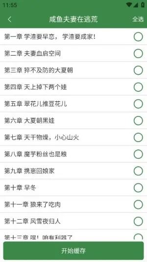 �ٴ�С˵��׿���ֻ���