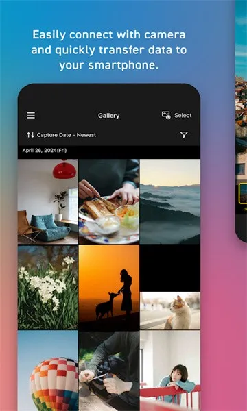 LUMIX Lab2026�ٷ����°汾v1.0.0 �ٷ�����