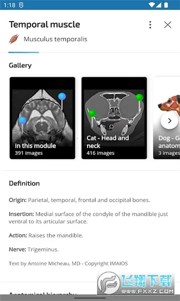 vet Anatomyv4.3.1 �ٷ�����