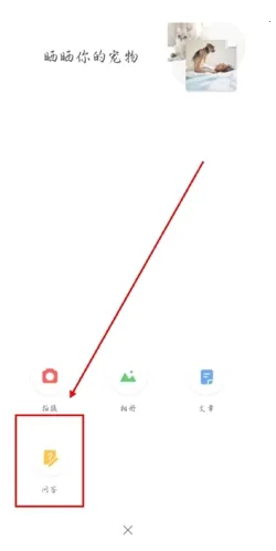 波奇宠物2026下载安装