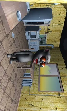 �ֲ��ĺ��������ֻ���v1.0 �ֻ���