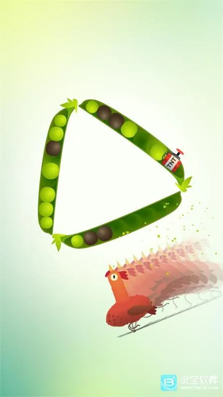 ���ĸ���