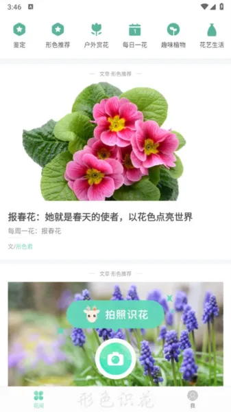 ��ɫ2026����